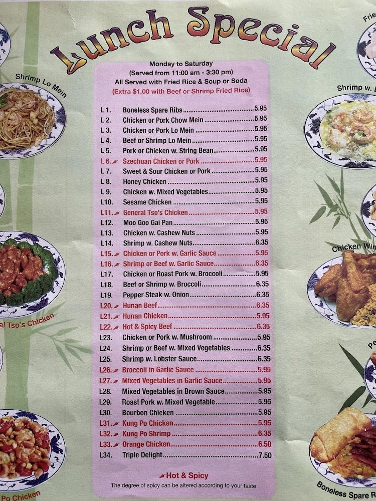 New China Chinese Restaurant Menu image 4